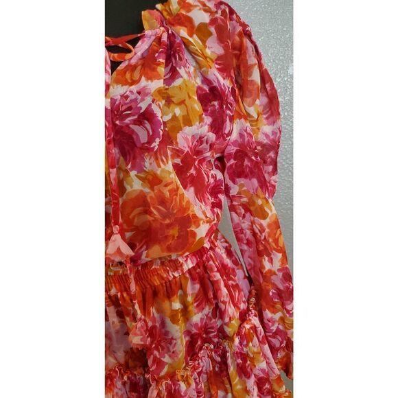 MISA Los Angeles Clementine Ruffled Floral Mini Dress - Picture 11 of 16